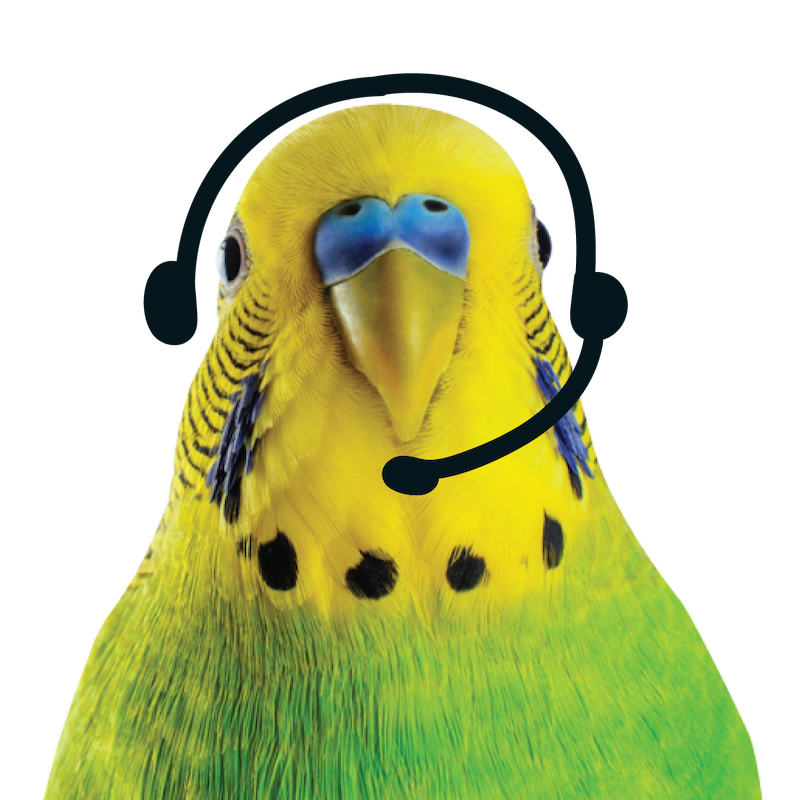 Chirpy the bird with a headset on